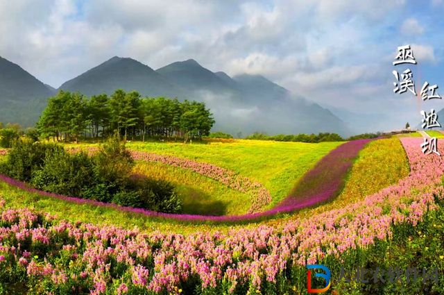 妄想山海太阳铭文怎么获得-太阳铭文获取方式一览